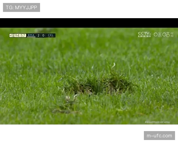 伯纳乌球场确认将于四月国际比赛日期间进行草皮更换